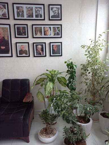 عکس خانه هنر آفرنیش