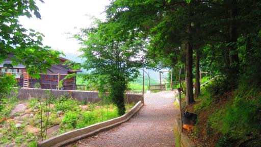 عکس تفرجگاه سد شیاده