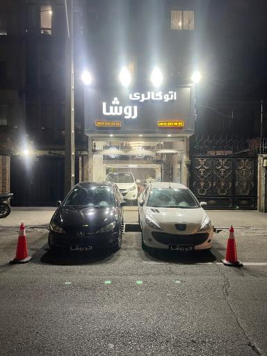 عکس اتو روشا