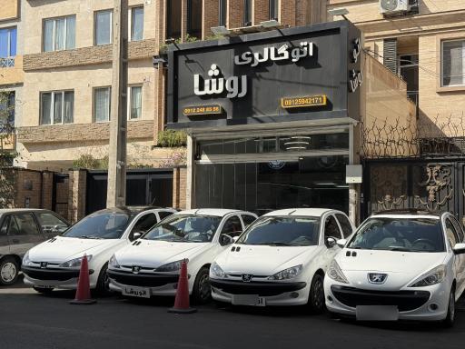 عکس اتو روشا