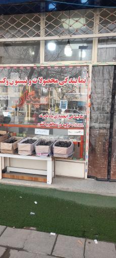 عکس محصولات دخانیات محمد