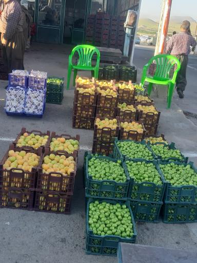 عکس بارفروشی و حق العمل کاری برادران اویسی 