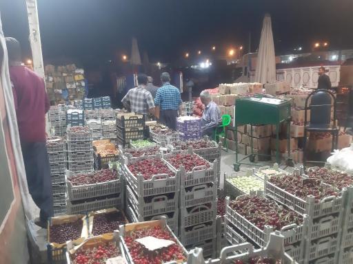 عکس بارفروشی و حق العمل کاری برادران اویسی 