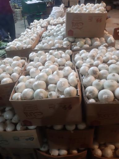 عکس بارفروشی و حق العمل کاری برادران اویسی 