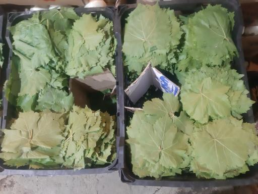 عکس بارفروشی و حق العمل کاری برادران اویسی 