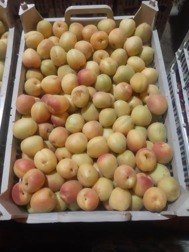 عکس بارفروشی و حق العمل کاری برادران اویسی 