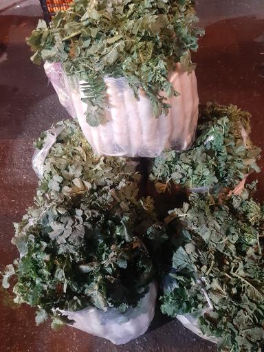 عکس بارفروشی و حق العمل کاری برادران اویسی 