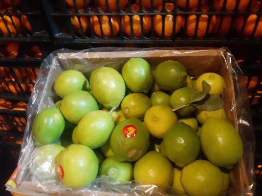 عکس بارفروشی و حق العمل کاری برادران اویسی 