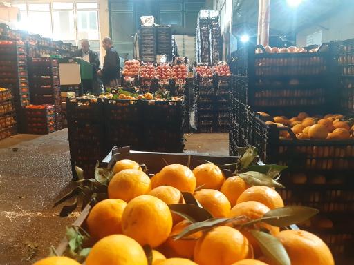 عکس بارفروشی و حق العمل کاری برادران اویسی 