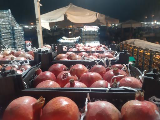 عکس بارفروشی و حق العمل کاری برادران اویسی 