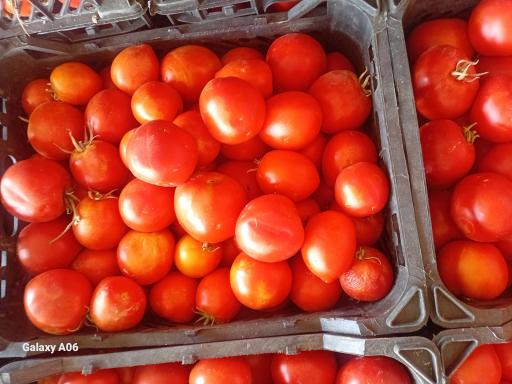 عکس بارفروشی و حق العمل کاری برادران اویسی 