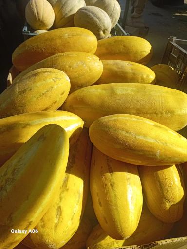 عکس بارفروشی و حق العمل کاری برادران اویسی 