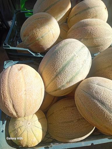 عکس بارفروشی و حق العمل کاری برادران اویسی 