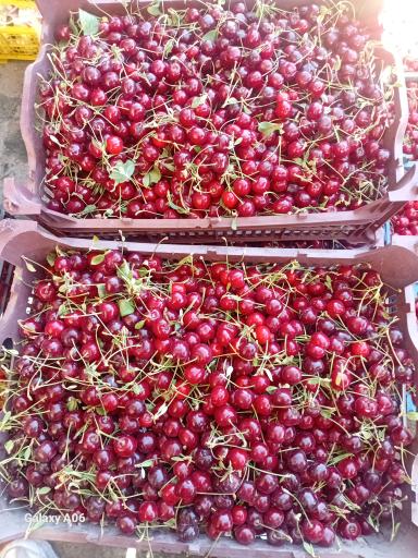 عکس بارفروشی و حق العمل کاری برادران اویسی 