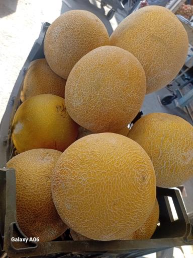 عکس بارفروشی و حق العمل کاری برادران اویسی 