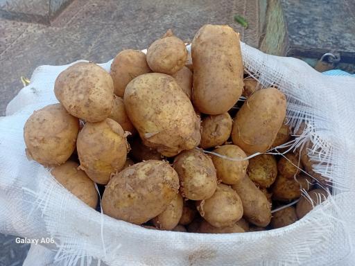 عکس بارفروشی و حق العمل کاری برادران اویسی 