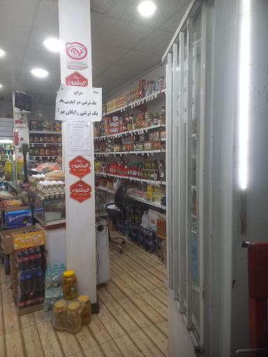 هایپر پروتئین و پخش قارچ چتر سفید