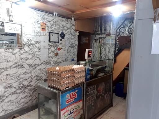 عکس پخش مرغ سام