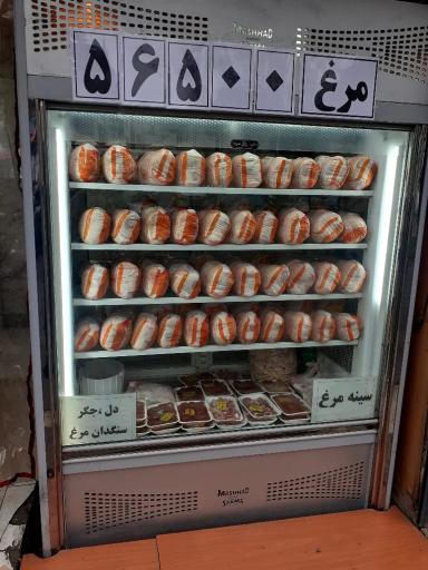 عکس پخش مرغ سام