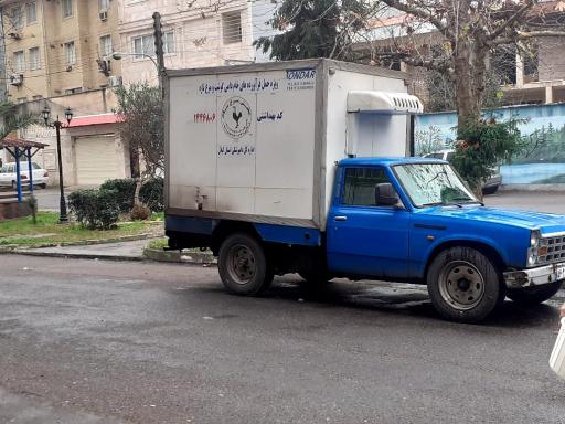 عکس پخش مرغ سام