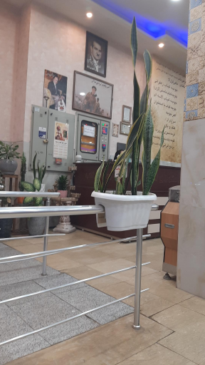 عکس تالار رستوران ناب