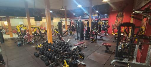 عکس مجموعه ورزشی نیوتن 