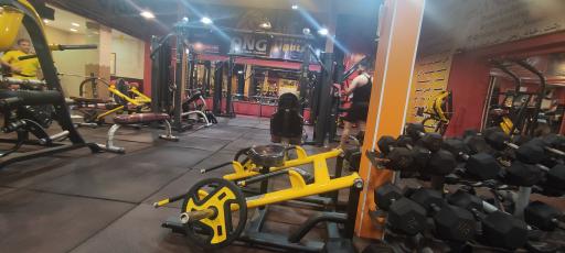 عکس مجموعه ورزشی نیوتن 