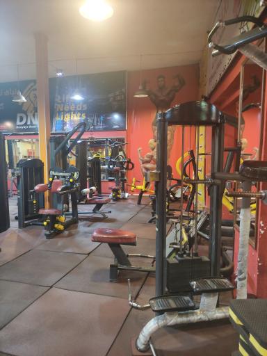 عکس مجموعه ورزشی نیوتن 