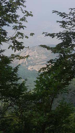 عکس اشکارلت