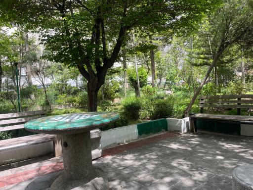 عکس دانشگاه علامه طباطبائی