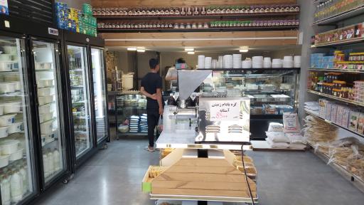 عکس لبنیات و بستنی شاهی