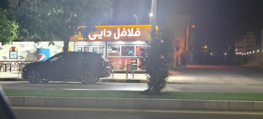 عکس فلافل دایی