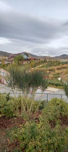 عکس دهکده گردشگری گلستانکوه خوانسار