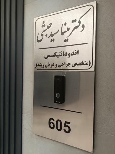 عکس دکتر مینا سید حبشی