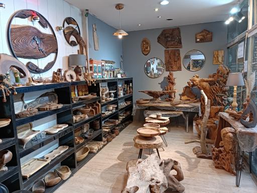 عکس گالری دارکوب 