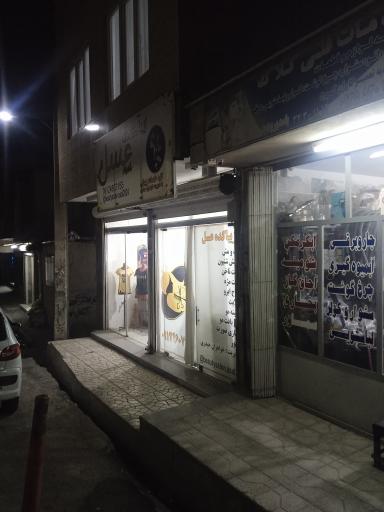 عکس سالن زیبایی عسل