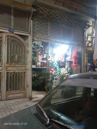 عکس گل شایان