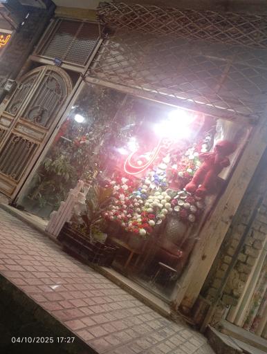 عکس گل شایان
