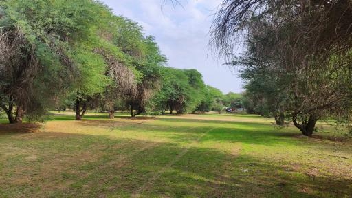 عکس گدارچیتی