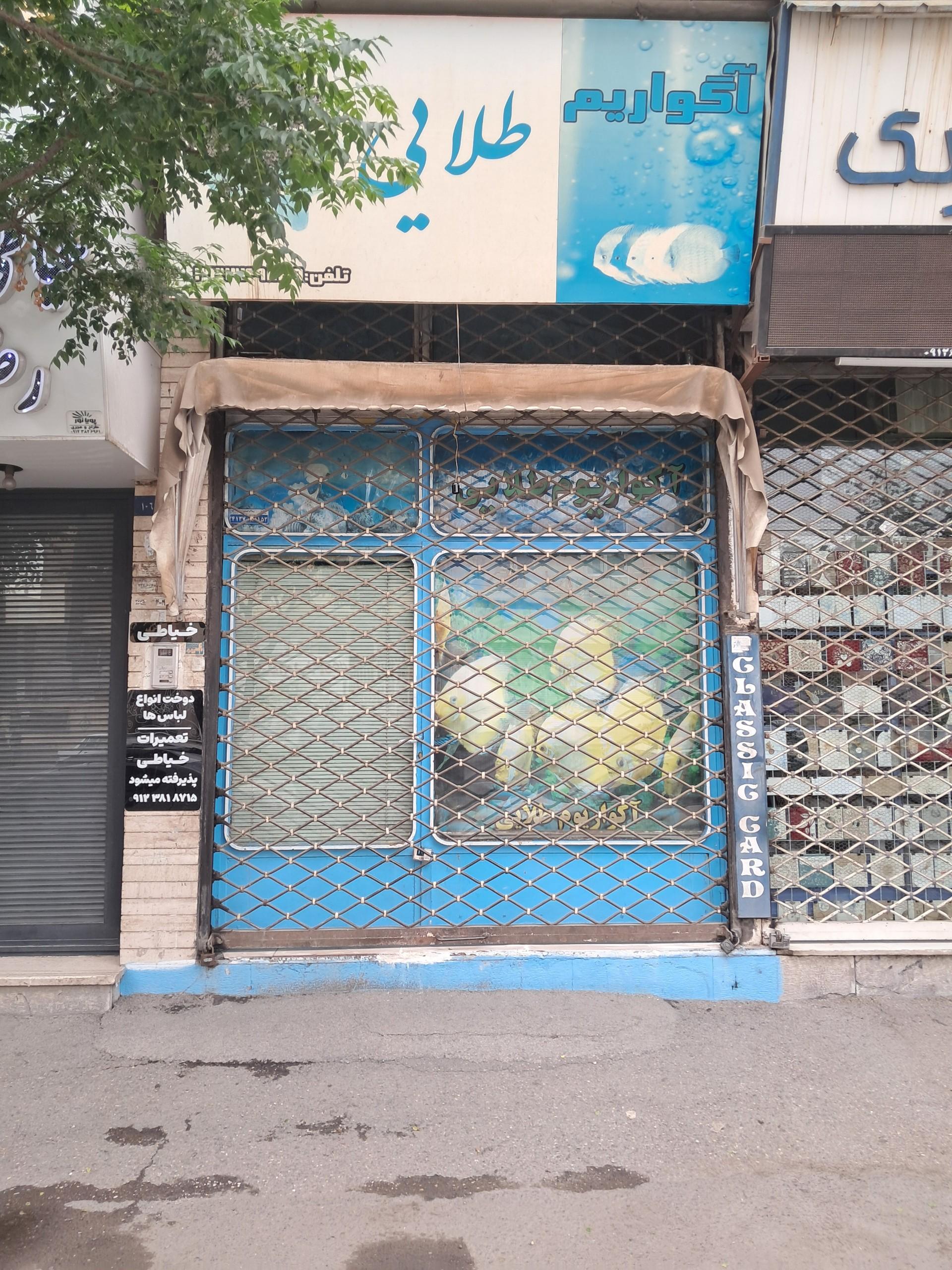 عکس آکواریوم طلایی