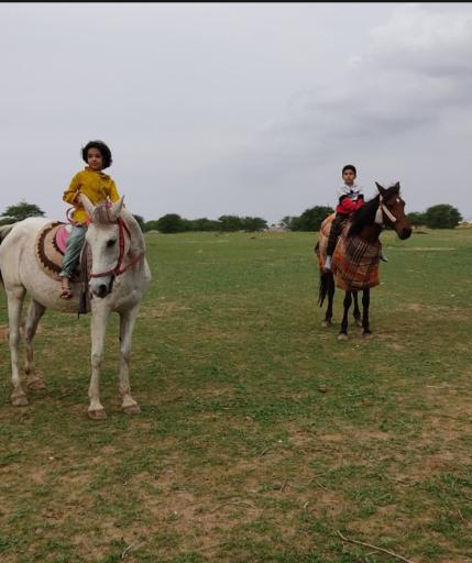 عکس گدارچیتی