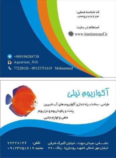 عکس آکواریوم نیلی 