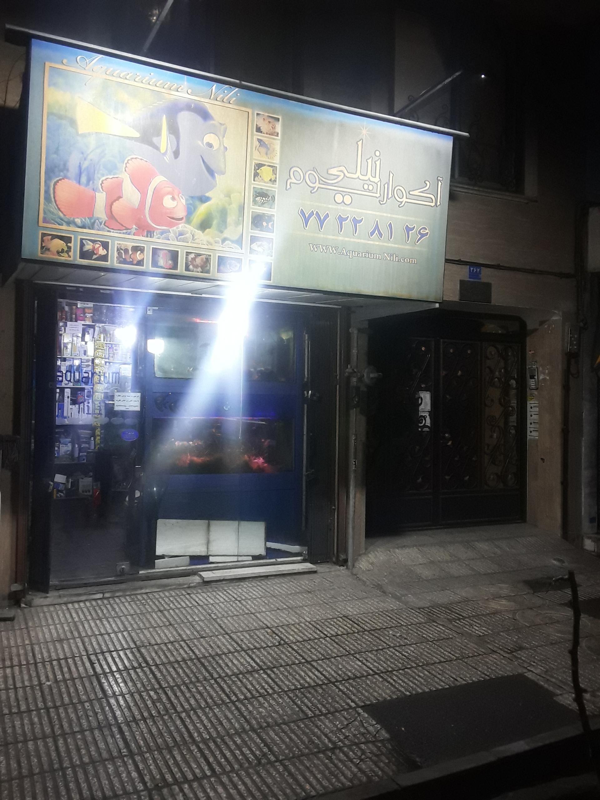 عکس آکواریوم نیلی 