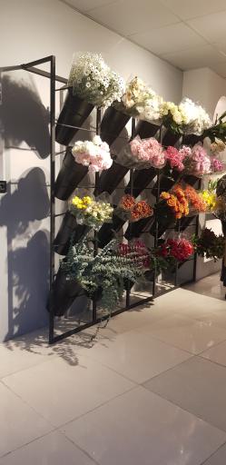 عکس استودیو گل گلناز