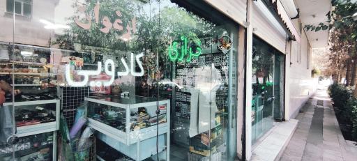 عکس خرازی ارغوان