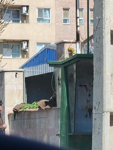 عکس میوه و سبزی فروشی