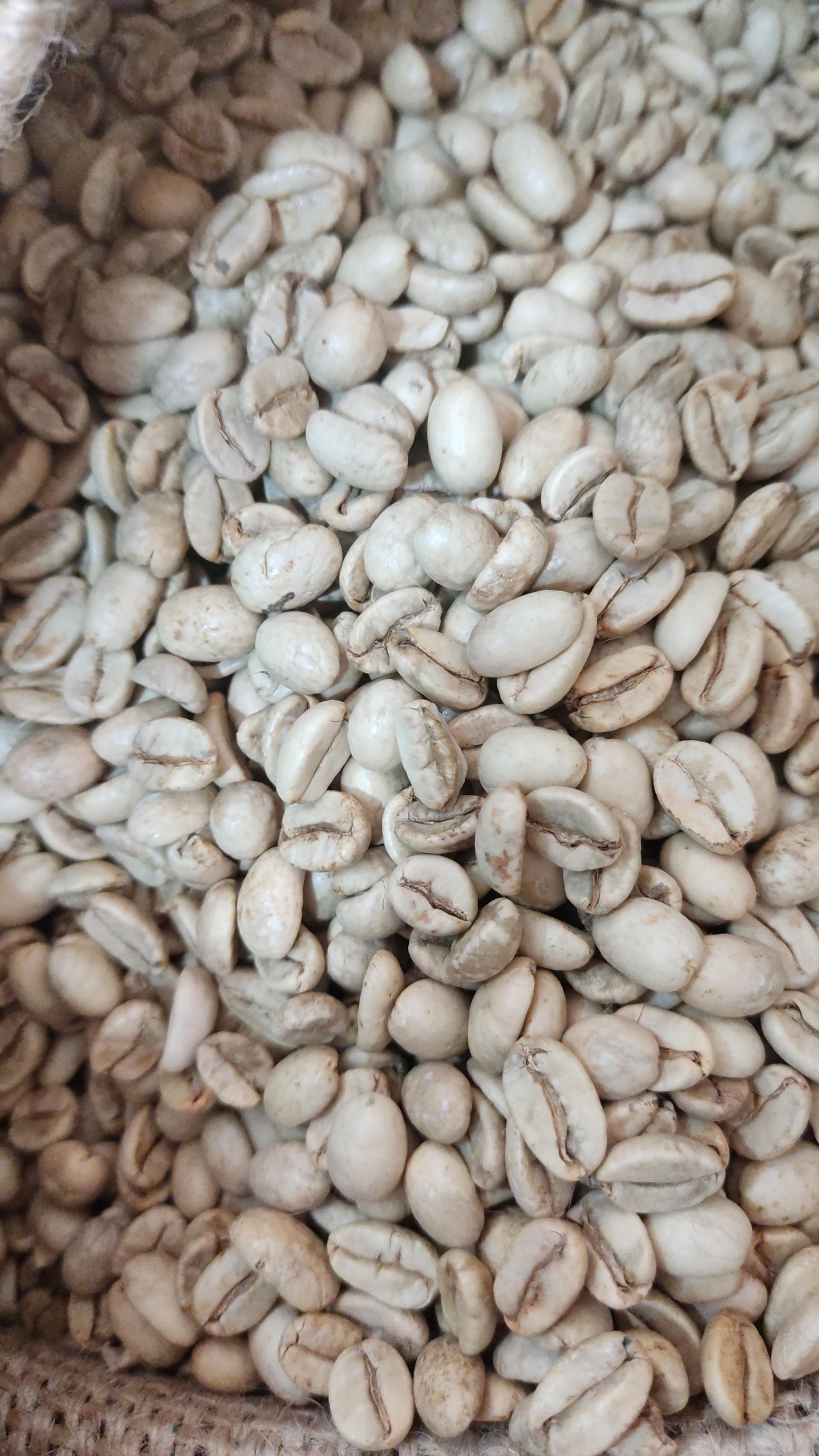 عکس قهوه کیمیا