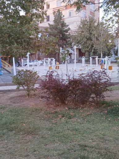 عکس بوستان شکوفه