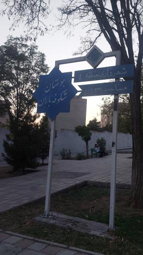 عکس بوستان شکوفه