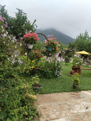 عکس هتل راتینس ماسال